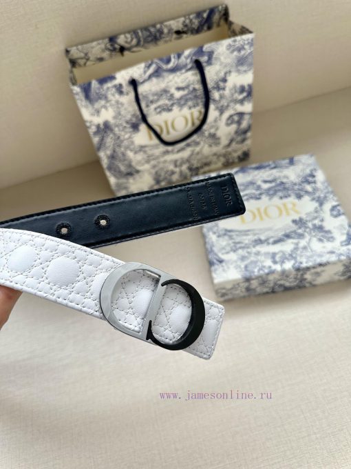 This 3.5cm width Dior waistband cleverly blends elegance and fashion, showcasing Dior's exqu 6m786dxw - Image 8