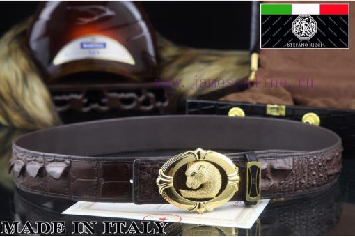 MADE IN ITALTComplete setSTEFANO RICCI100% dual color pure steel buckle materialThe front of f2qkd01v - Image 4