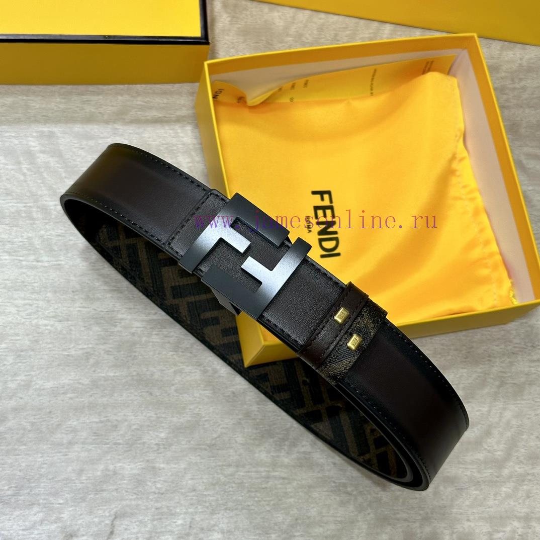 FENDI FendiFull set of the same width 4.0CM double ring front and back waist belt FF nail bu yvs1bysn - Image 5