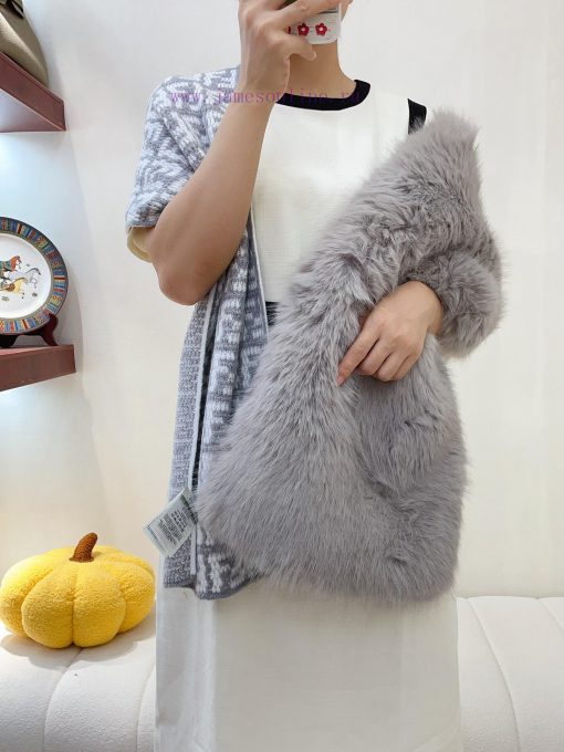 The Fendi family, the first place in the fur family, has been really popular in the past twoqv43e9hy - Image 11