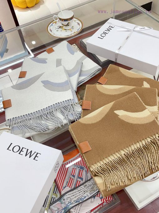 Super recommended LOEWE double-sided scarf, handwritten style LOEWE stamp, the latest look o9pr8ncaw - Image 13