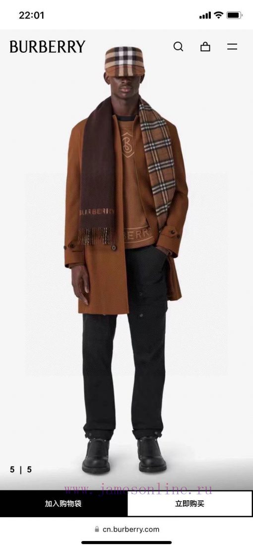 A warm and comfortable scarf made of soft cashmere fabric, decorated with Burberry plaid on 6e5hgflr