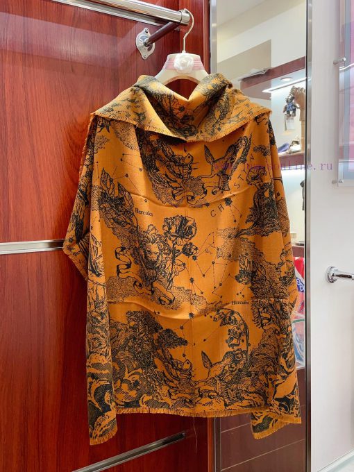 DIOR's new autumn and winter collection features a strong roar of lucky constellation patterurph4xqk - Image 6