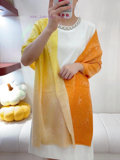 Luoyiwei LW Color Gradient Logo Long Scarf is very lucky to have obtained this brand's produzydqmqr2