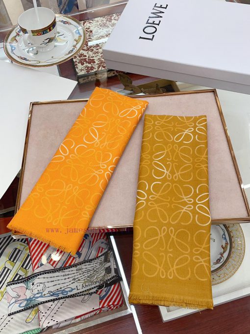 Luoyiwei LW Color Gradient Logo Long Scarf is very lucky to have obtained this brand's produzydqmqr2 - Image 12