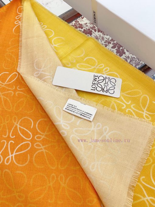 Luoyiwei LW Color Gradient Logo Long Scarf is very lucky to have obtained this brand's produzydqmqr2 - Image 17
