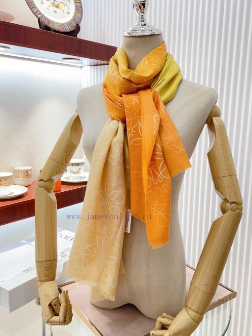 Luoyiwei LW Color Gradient Logo Long Scarf is very lucky to have obtained this brand's produzydqmqr2 - Image 18