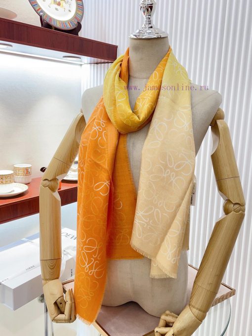 Luoyiwei LW Color Gradient Logo Long Scarf is very lucky to have obtained this brand's produzydqmqr2 - Image 19