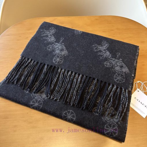 The Coach classic C logo shawl is also so beautiful, not only in terms of appearance but alsl63fzo7l