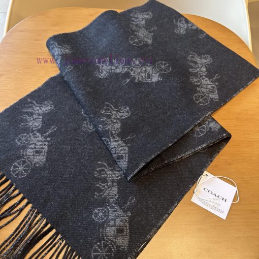 The Coach classic C logo shawl is also so beautiful, not only in terms of appearance but alsl63fzo7l - Image 5