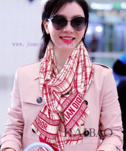 This kind of Dior is truly unbeatable, fashionable and versatile. The new Dior plaid patternbqbzksgv