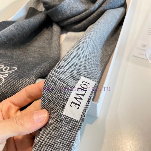 Rare high-end men's clothing, family benefits LOEWE embroidery 🪡 A very nice men's scarf~I lbqw48rau - Image 17