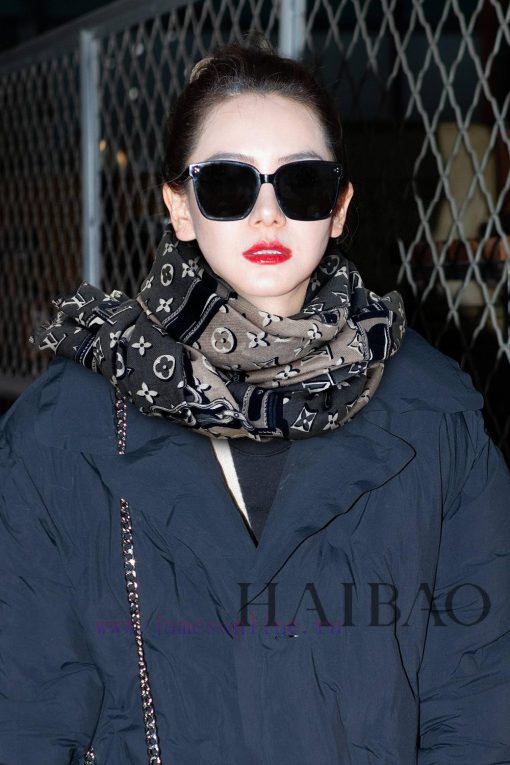 Cashmere Long Scarf Synchronized Sincerely Praising Lvjia L Padlock and Chain Long Scarf, Lohe3kb471 - Image 11