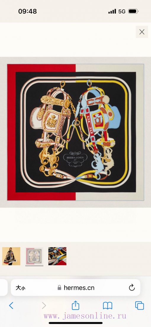 New Release ️The magnificent reins and reins have been reinterpreted for 23 yearsHermes' bespd7eq7nq - Image 3