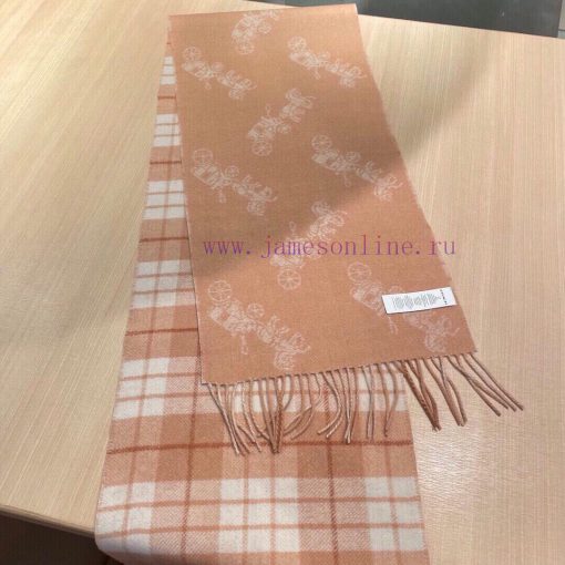 COACH men's and women's double-sided checkered carriage scarf is so beautiful, not only in t5268jy9w - Image 6