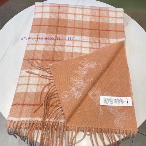 COACH men's and women's double-sided checkered carriage scarf is so beautiful, not only in t5268jy9w - Image 13
