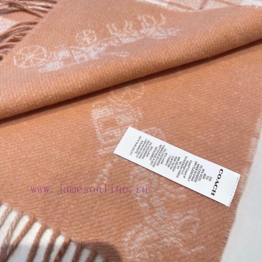 COACH men's and women's double-sided checkered carriage scarf is so beautiful, not only in t5268jy9w - Image 14