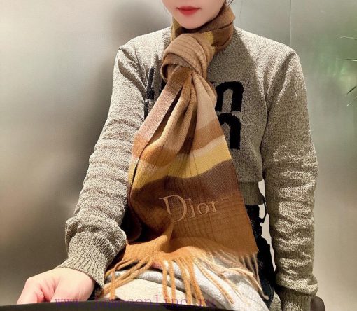 Dior men's and women's scarves are highly praised and kept for themselves, a rare high-end msu9t7z82 - Image 10
