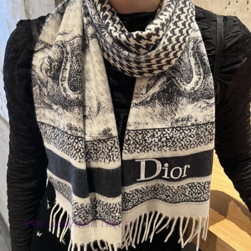 DIOR One Side Animal One Side Thousand Bird Element Long Scarf is a hot selling item, with dh91c5qay - Image 4