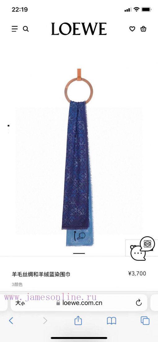 Loewe Colored Gradient Scarf ️ I am fortunate to have obtained this brand's products, which uafg1ji8 - Image 10