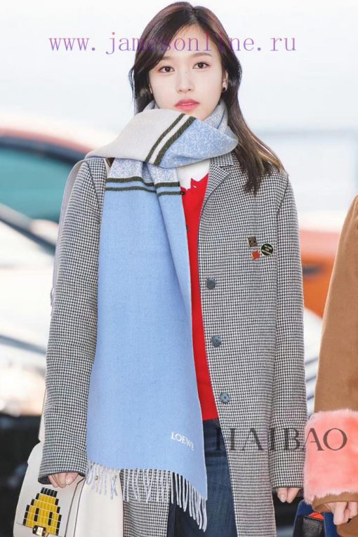 Top of the line original unisex Roewe LW color blocked logo double-sided long scarf. It's fovdkuz6k1