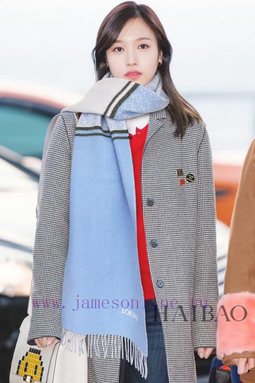 Top of the line original unisex Roewe LW color blocked logo double-sided long scarf. It's fovdkuz6k1 - Image 2