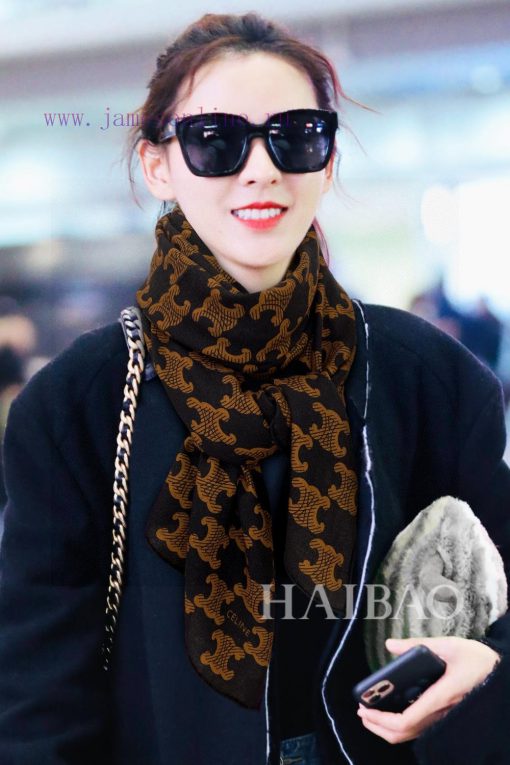 The new Celine CL logo cashmere long scarf is highly recommended for VIP customers. You mustr52y14ro