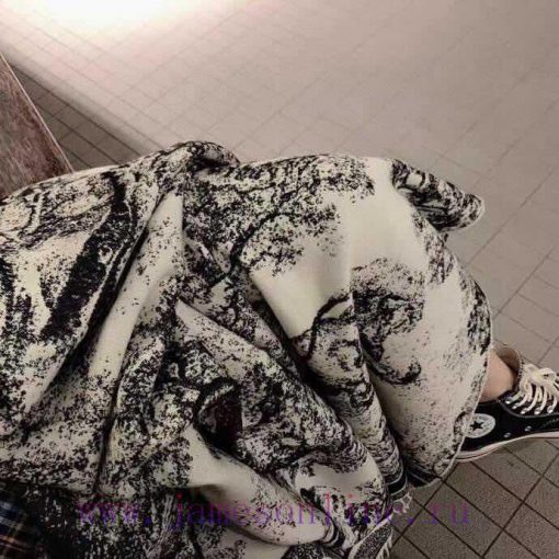 DIOR animal printed large square scarf shawl blanket scarf shawl blanket three in one, super1r8bio4y - Image 2