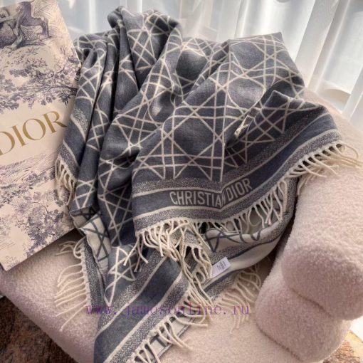 Dior's new color scheme is used in too many products, whether it's bags, shoes, or handbags,lmc4htxq - Image 9