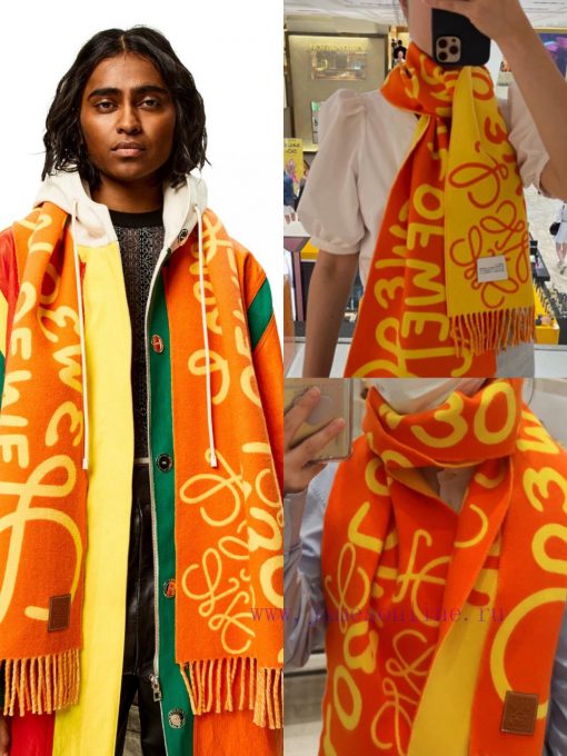 Beef LW color blocked cashmere long scarf 🧶 LOEWE 2023 The early autumn series has released d4a5h1w0