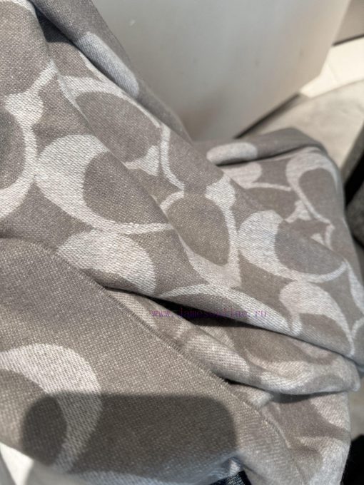 The new color of the new Coach 2024 model, the three color shawl, looks great not only in te6gnab8qg - Image 9