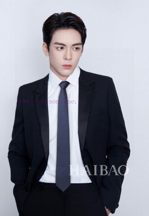 The new men's tie series is a two-color H tie, rare. Every year, H Home releases a thousand 2vtq1pgz - Image 2