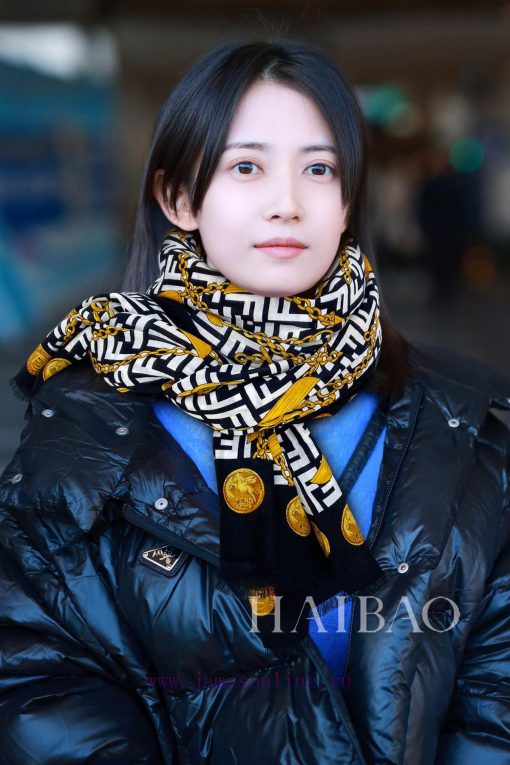The new Fendi cashmere long scarf FF chain printed long scarf is highly recommended by VIPs.2ocmvg54