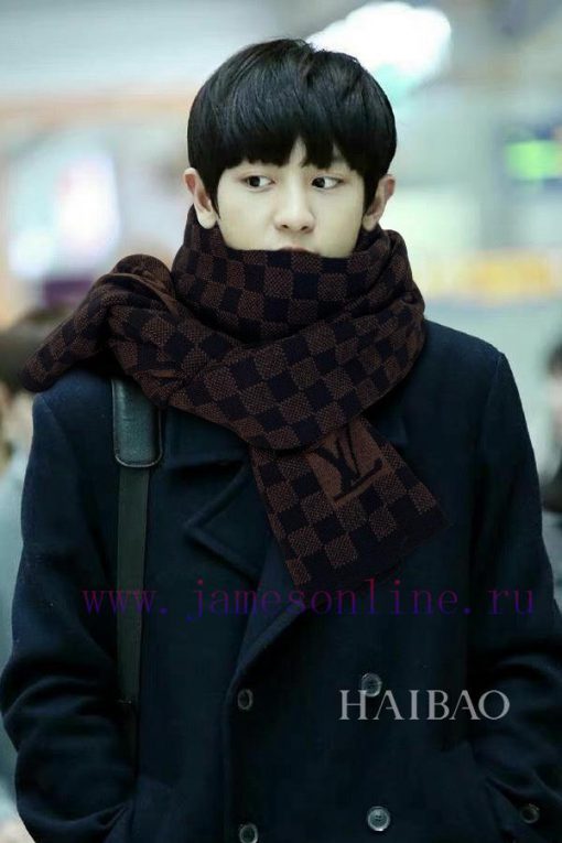 The new synchronized L checkerboard knitted long scarf from Lvjia features a striking classia60gzega - Image 2