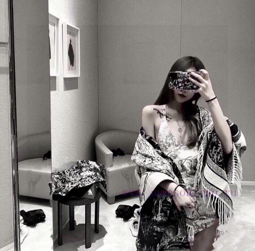 Original CD shawl, CD global travel series, Dior's latest element large shawl Blanket. Blankx3y24ejs
