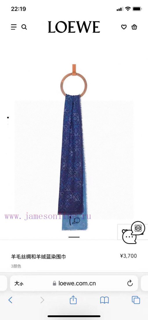 Loewe herringbone silk and cashmere gradient autumn thin scarf with perfect raw material ratrcju7cs5 - Image 2