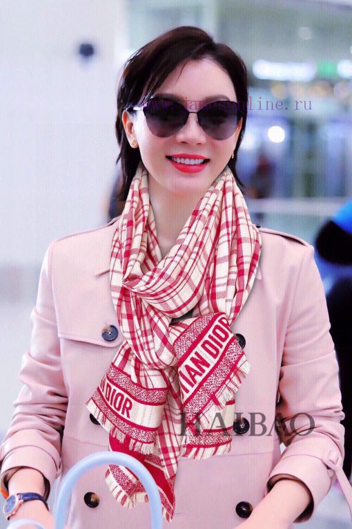 This kind of Dior is truly unbeatable, fashionable and versatile. The new Dior plaid pattern01u59t1l - Image 2
