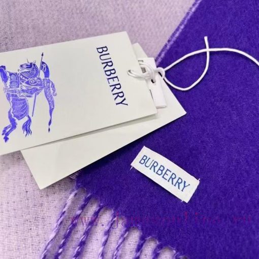 𝐁𝐔𝐑𝐁𝐄𝐑𝐑𝐘 Double sided solid color embroidered long scarf official website synchronized new ️ohgx2vdi - Image 9