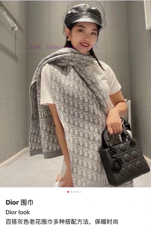 Dior's classic autumn and winter collection features a knitted double-sided jacquard style, 6dvtjow7 - Image 10