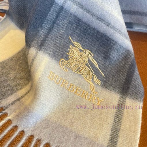 To be honest, the design of Burberry's export order is very simple, but the classic embroide3in52drr - Image 5