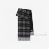 Burberry plaid scarf ️ It looks crazy, so stylish and charming ️ I really like this very ele5ny8zu6s