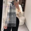 Burberry plaid scarf ️ It looks crazy, so stylish and charming ️ I really like this very eleciss1ss1