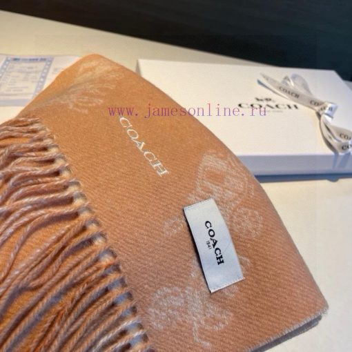 The COACH classic Coach scarf is also so beautiful, not only in terms of appearance but alsoorjaa6oj - Image 6