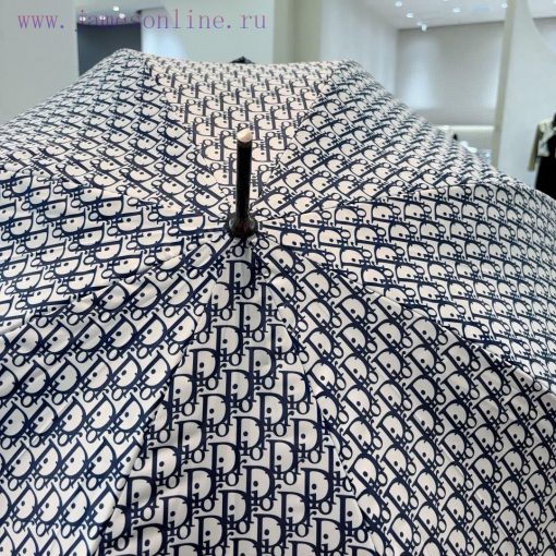 DIOR's flagship product of the year, the straight pole long umbrella, is classic, elegant, azpfazo98 - Image 3