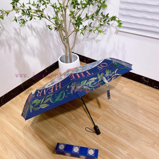 Dior's latest hot item of the year, the top-notch H home automatic umbrella, is presented wi80uieway - Image 9