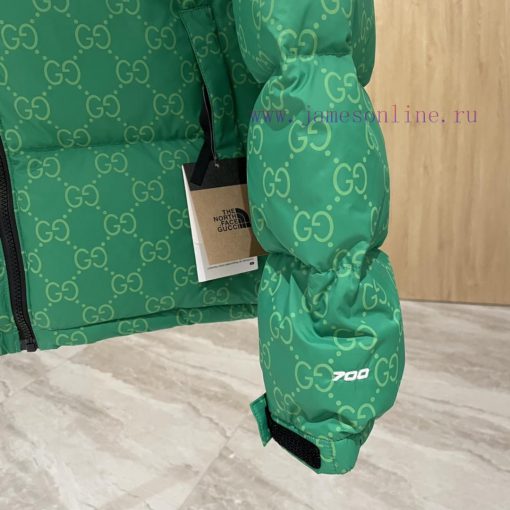 𝙂𝙪𝙘𝙘𝙞 𝙭 𝙏𝙝𝙚 𝙉𝙤𝙧𝙩𝙝 𝙁𝙖𝙘𝙚Top original version insists on high-endGucci x The North Face North anzwv3dv - Image 5