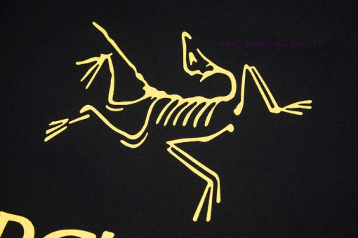 [Ayc Teryx Archaeopteryx]2024 FW Short Sleeved T-shirt With Bird Letter Logo Printed Short Slee bh0n7zui - Image 6