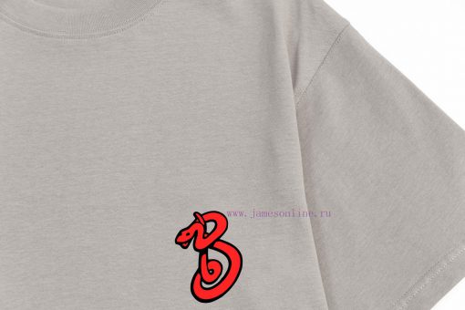 ️ (arriving The Next Day)Burberry Lettering Direct Spray PrintExquisite Upgraded Logo Logo Insp dfctppmk - Image 5