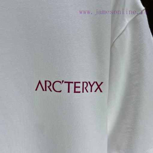 P ARC * Archaeopteryx*2025 Spring/Summer New Short Sleeved T-shirtHeavy Duty Pure Cotton Letter l02ed9of - Image 6