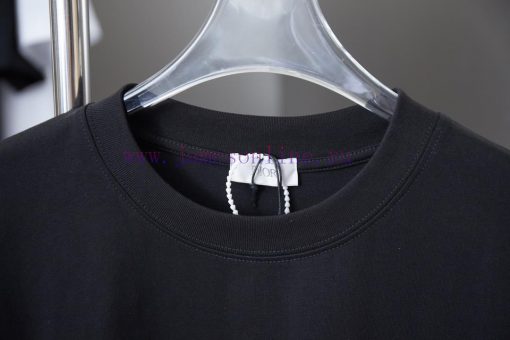 Christian Dior 25SS Early Spring New Style 3D Velcro Letter Logo Printed Short SleeveLight Luxu v5r8l84i - Image 4